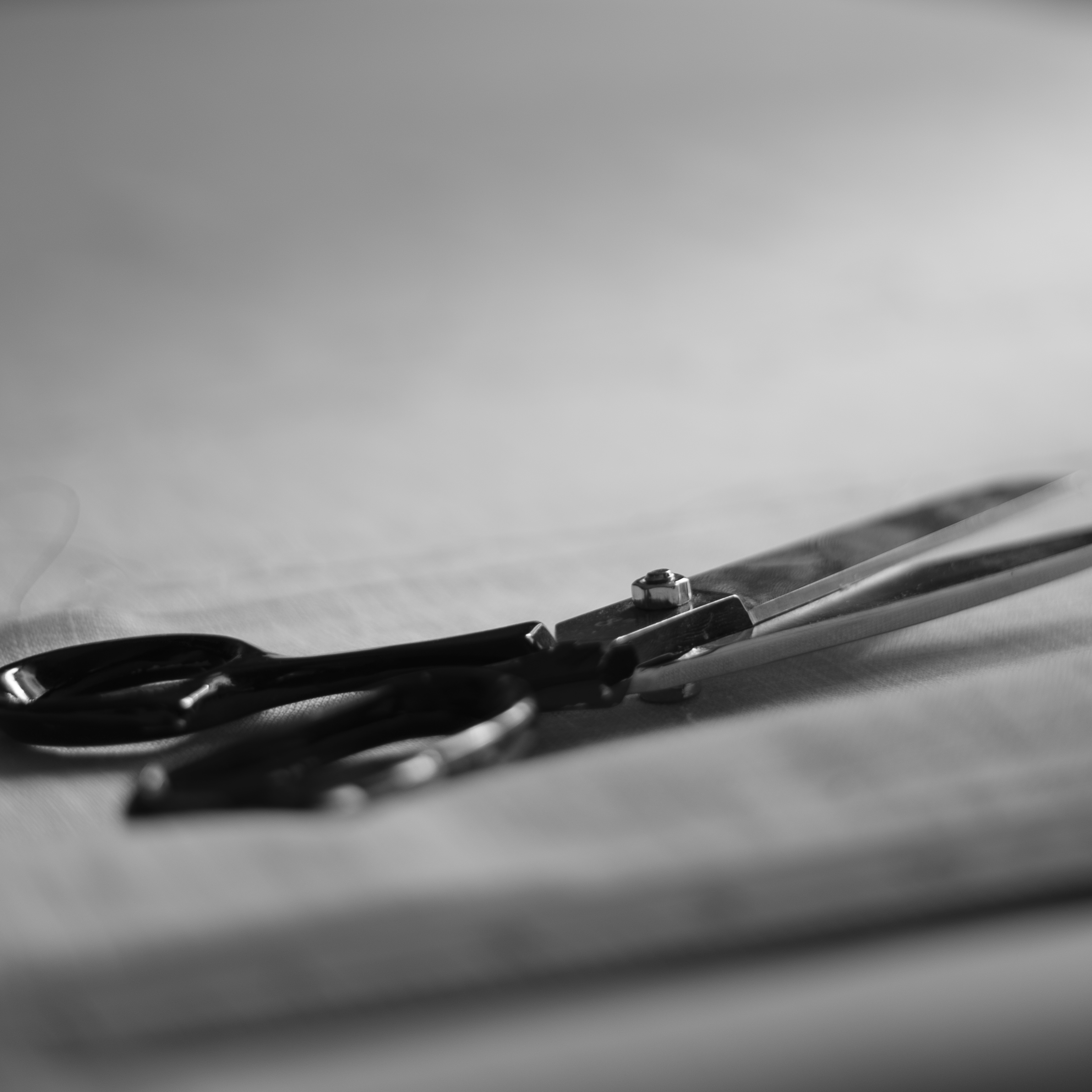 Quintopiano Tailor's scissors